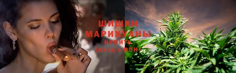 сколько стоит  Сегежа  Канабис OG Kush 